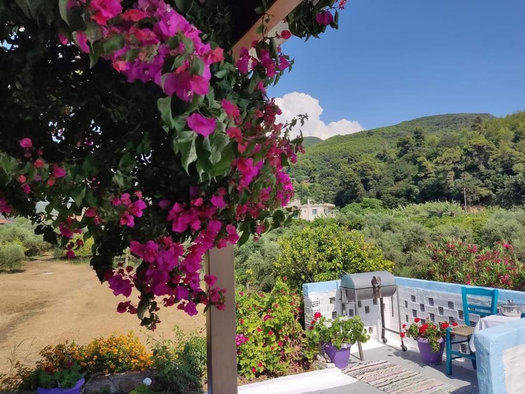 Villa Thea Kato Samikon Buitenkant foto