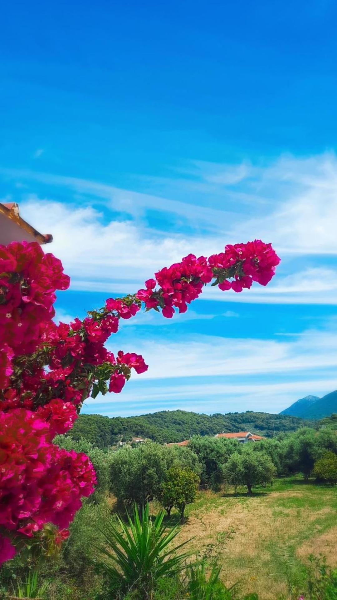 Villa Thea Kato Samikon Buitenkant foto